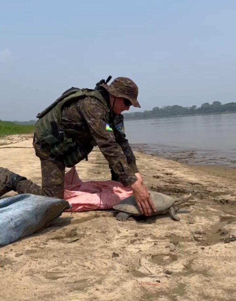 “Operação Águas Seguras” em Rondônia combate crimes nos rios Madeira, Mamoré e Guaporé
