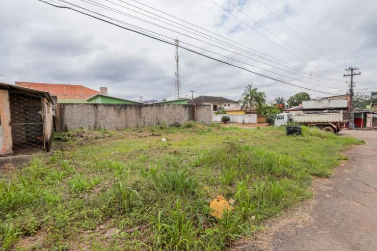 Saiba como denunciar crimes ambientais em Porto Velho