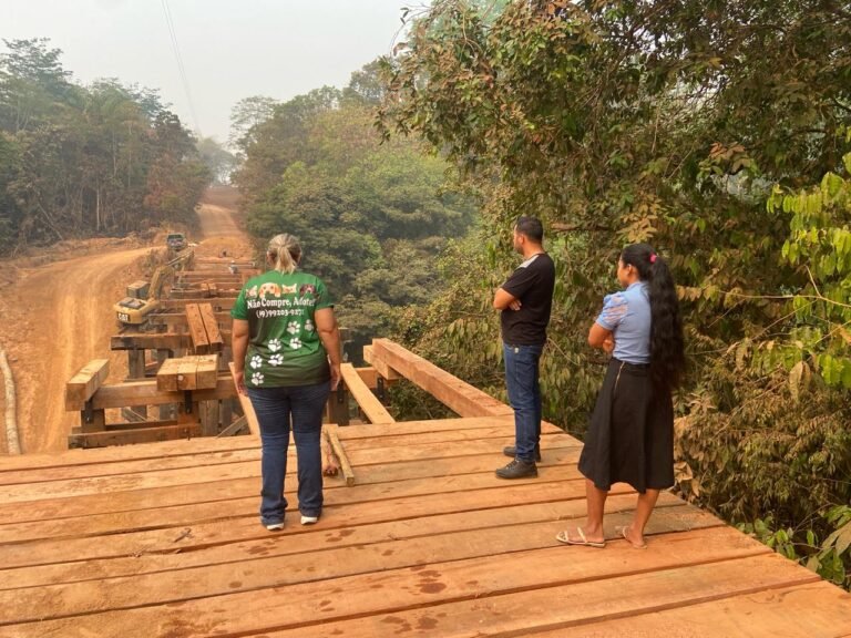 Últimas Notícias 4 Vereadora Márcia Socorristas Animais realiza fiscalização em ponte da Bacia Leiteira