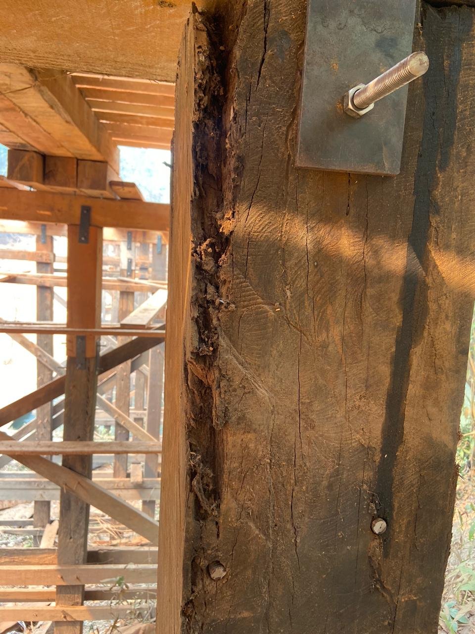 Vereadora Márcia Socorristas Animais realiza fiscalização em ponte da Bacia Leiteira