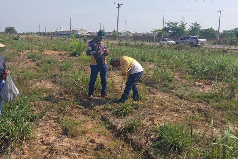 Município intensifica recuperação de áreas degradadas e plantio de mudas para fortalecer a sustentabilidade urbana