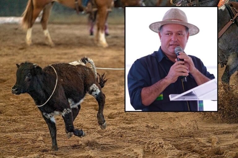 SEM PAUTA – Deputado propõe “Pega Bezerro” como esporte oficial em Rondônia