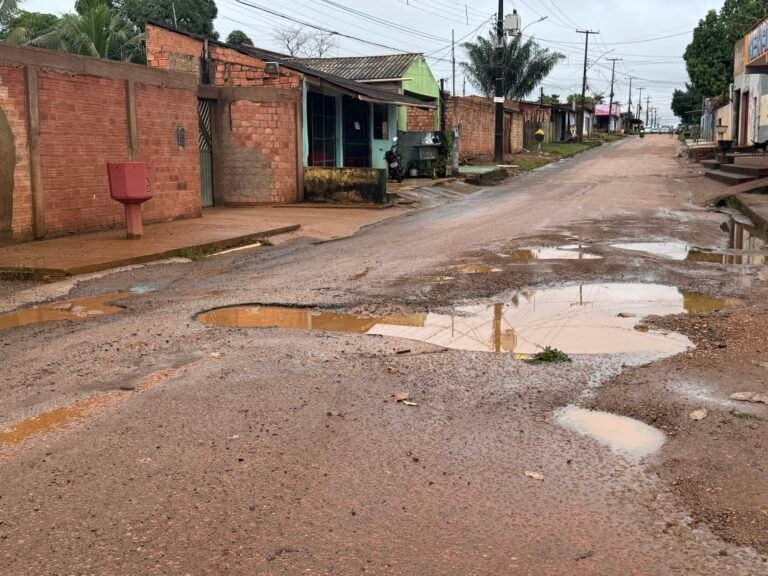 Vereador Edimilson Dourado solicita serviço de tapa buracos na zona sul de Porto Velho