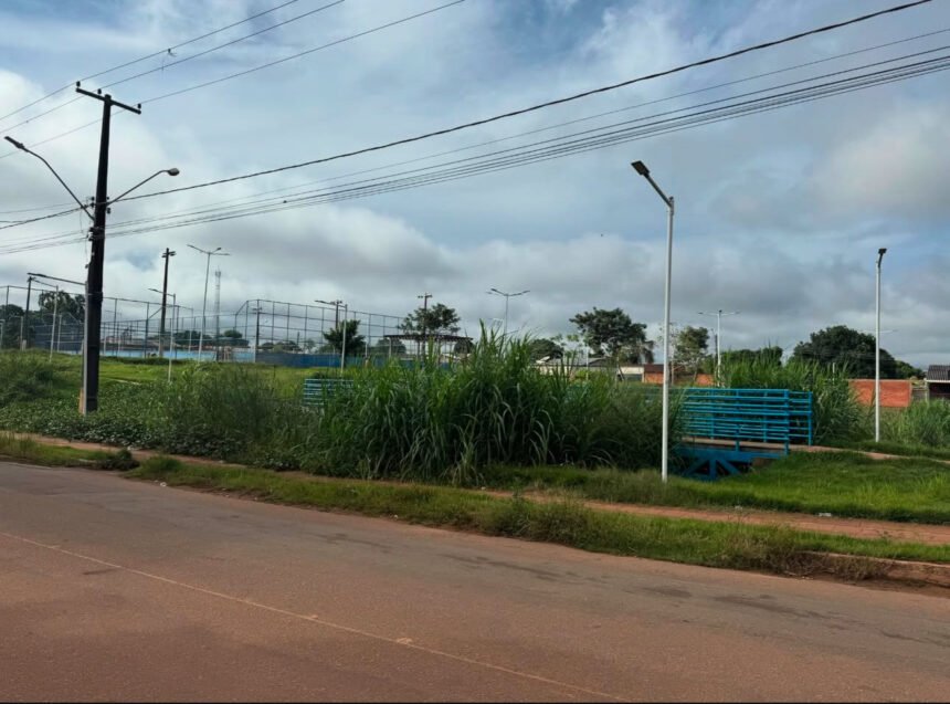 Vereador Edimilson Dourado solicita limpeza e revitalização do Ecoparque Pirarucu 5 Vereador Edimilson Dourado solicita limpeza e revitalização do Ecoparque Pirarucu