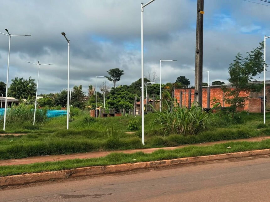 Vereador Edimilson Dourado solicita limpeza e revitalização do Ecoparque Pirarucu 4 Vereador Edimilson Dourado solicita limpeza e revitalização do Ecoparque Pirarucu