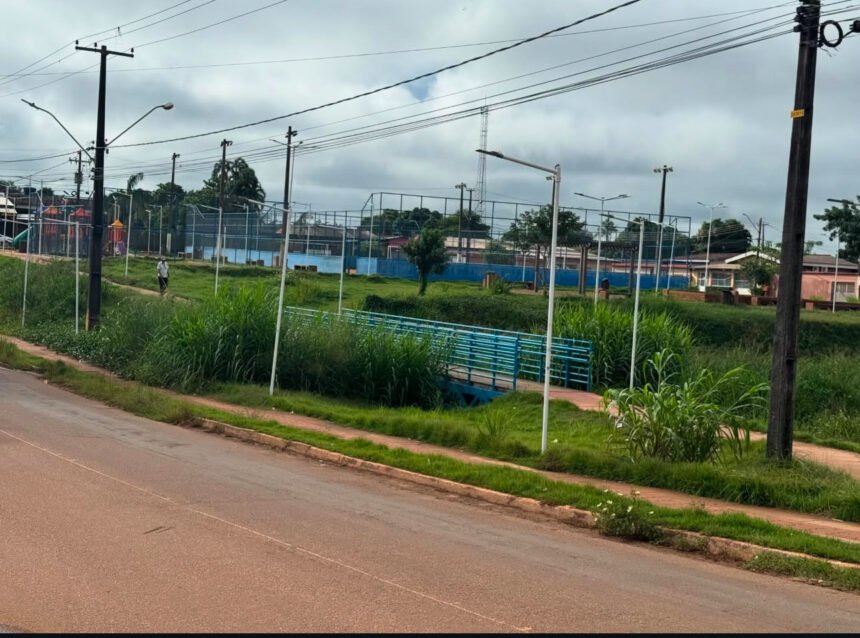 Vereador Edimilson Dourado solicita limpeza e revitalização do Ecoparque Pirarucu 6 Vereador Edimilson Dourado solicita limpeza e revitalização do Ecoparque Pirarucu