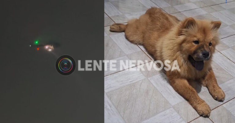 Criminosos rendem casal e levam até cadela durante assalto; donos oferecem recompensa – VÍDEO