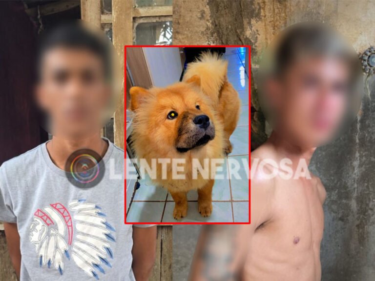 LEVARAM ATÉ A CACHORRA – Polícia Militar prende dupla envolvida em assalto e cadela é encontrada perambulando na zona sul
