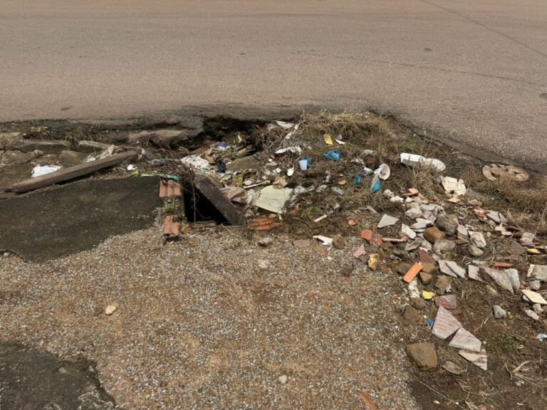 Vereador Edimilson Dourado solicita desobstrução de bueiros na zona sul de Porto Velho