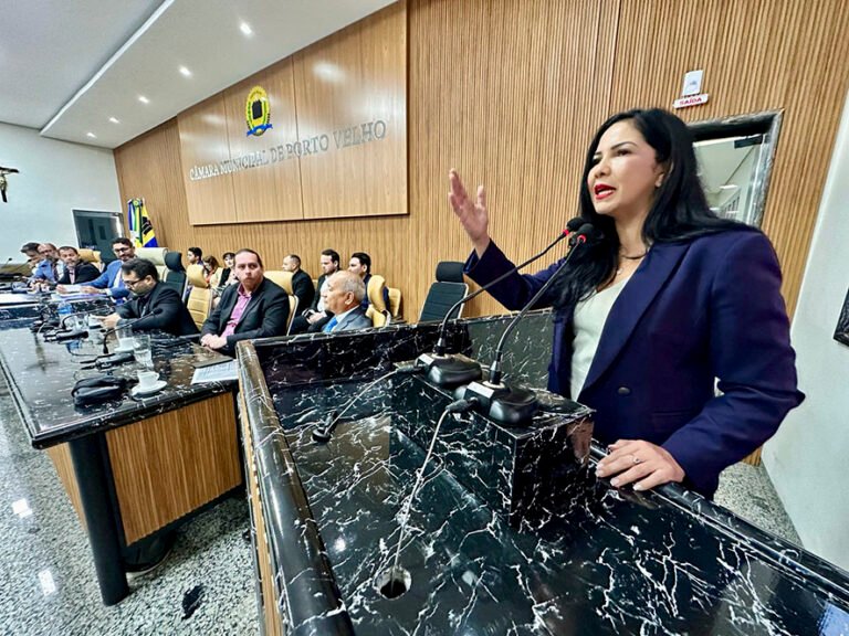 Deputada Cristiane Lopes participa de Audiência Pública para solucionar alagamentos em Porto Velho