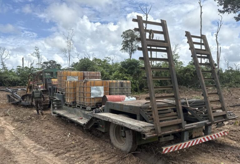 Governo de RO aplica mais de R$ 37 milhões em multas por ilícitos ambientais em nova fase da “Operação Hileia”