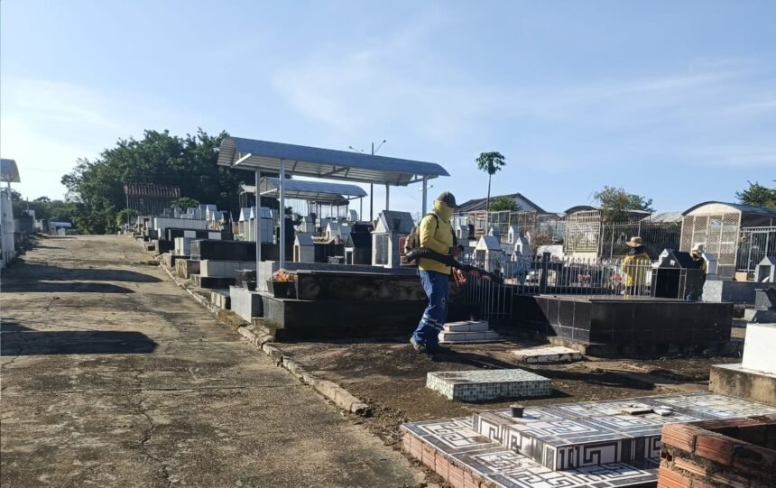 Cemitérios de Porto Velho passam por mutirão de limpeza