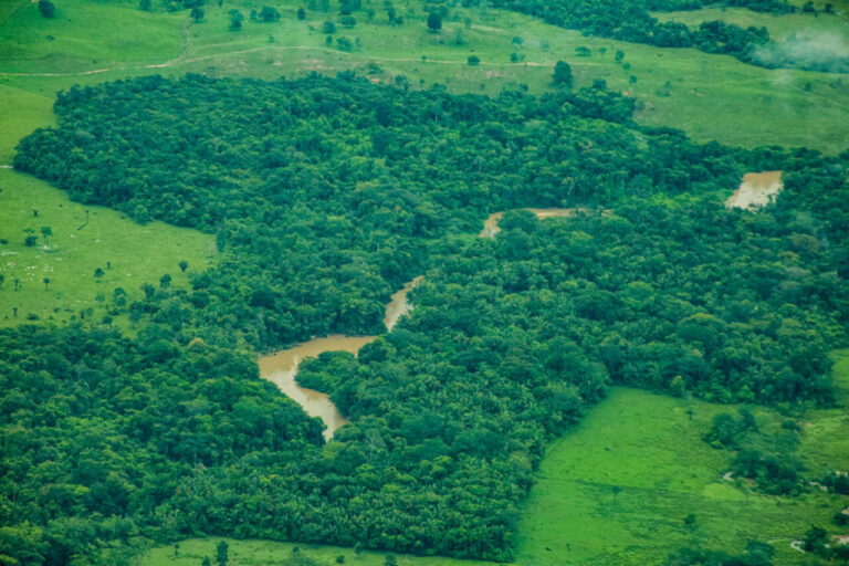 Rondônia reduz desmatamento em mais de 40% entre 2024 e 2025, aponta plataforma nacional de alerta