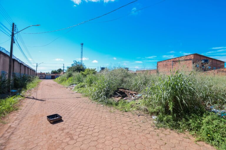 Prefeito Léo Moraes encaminha projeto de lei para multar quem jogar lixo em Porto Velho