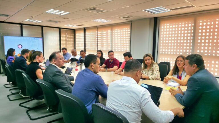 Governo de RO apresenta planos de enfrentamento à crise ambiental ao Tribunal de Contas