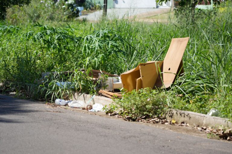 Prefeitura já notificou mais de 500 donos de terrenos abandonados em 2025