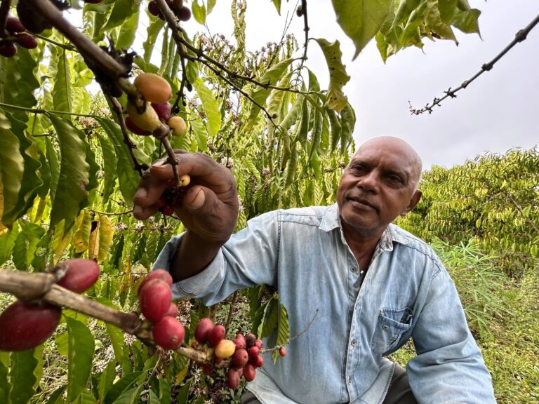 Prefeitura de Porto Velho fortalece escoamento da produção rural com apoio logístico
