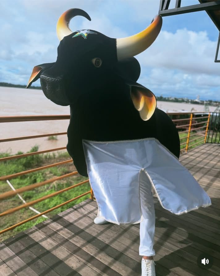 Boi-Bumbá Estrela de Rondônia: a força de um sonho coletivo que estreia no Arraial Flor do Maracujá 2025