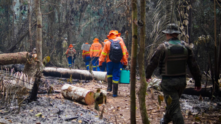 Governo de RO intensifica o combate às queimadas com educação ambiental e fiscalizações