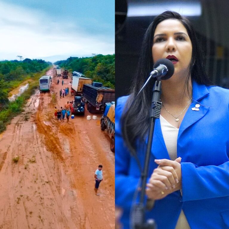 Cristiane Lopes se posiciona Contra Veto e mantém Defesa da repavimentação da BR-319