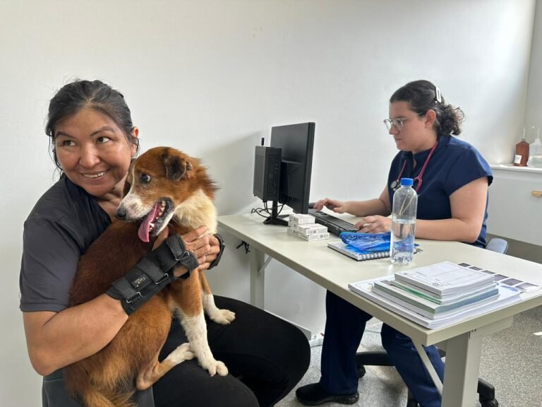 Clínica de Bem-Estar Animal inicia atendimentos com estrutura moderna
