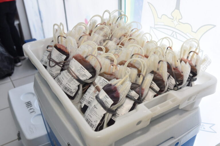 Alta Floresta d’Oeste e Porto Velho registram mais de 240 bolsas de sangue coletadas em ações da Fhemeron