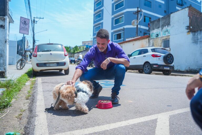 Prefeitura adquire 18 toneladas de ração para apoiar entidades protetoras