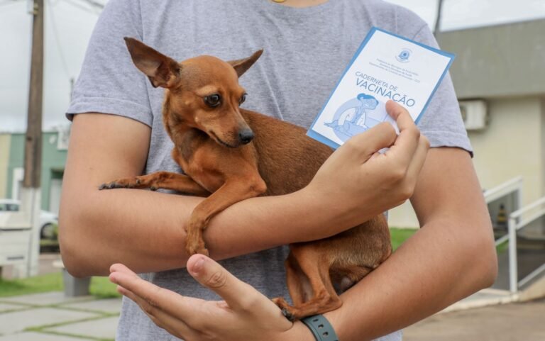 Porto Velho realiza campanha antirrábica no dia 29 de novembro