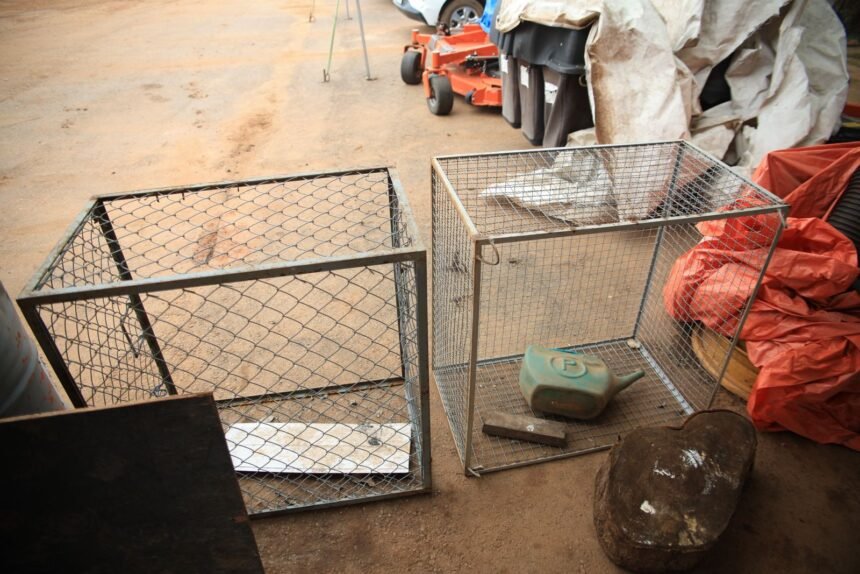 Ampliação de ecobueiros reduz alagamentos na capital 1 Ampliação de ecobueiros reduz alagamentos na capital