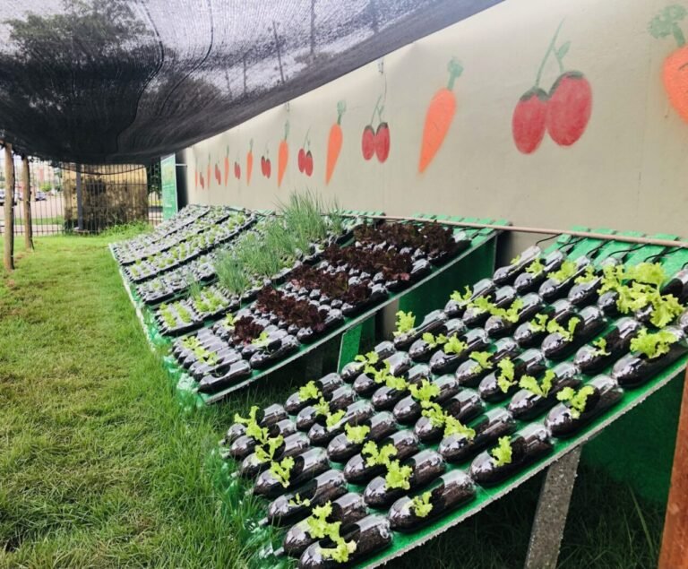 Últimas Notícias 3 Educação Profissional amplia ações de sustentabilidade com inauguração de horta hidropônica