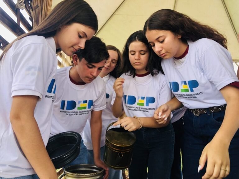 Últimas Notícias 9 Semana da Educação Profissional e Tecnológica é realizada em Porto Velho com programação, até sexta-feira, 5