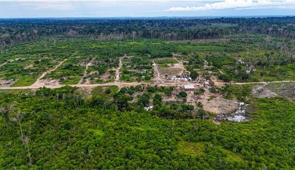 Operação Aruanã: MPRO acompanha conclusão da primeira fase da desocupação na Estação Ecológica de Samuel