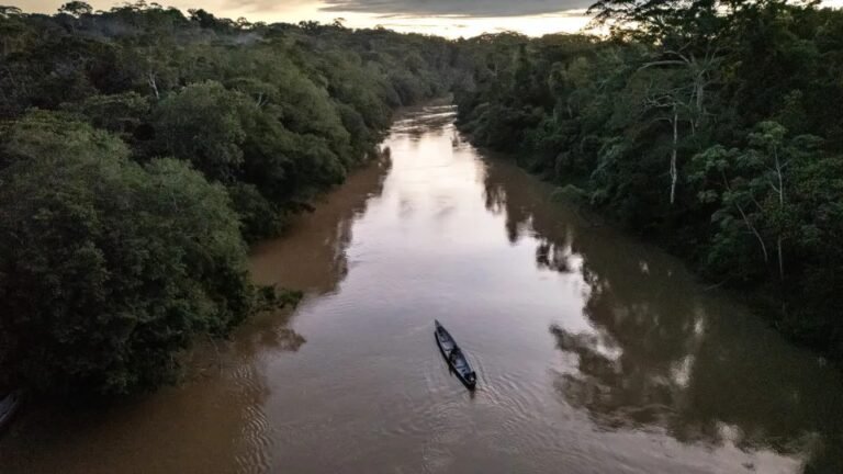 Menina de 2 anos morre depois de ser atacada por piranhas no rio Amazonas