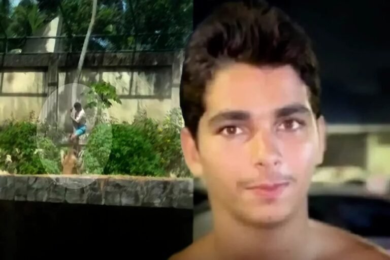 Jovem que invadiu jaula sonhava em domar leões e enfrentou abandono