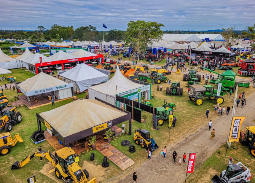 Rondônia é líder em apoio a negócios inovadores, tem 2ª menor taxa de desemprego e 3º melhor projeção do PIB 1 Rondônia é líder em apoio a negócios inovadores, tem 2ª menor taxa de desemprego e 3º melhor projeção do PIB