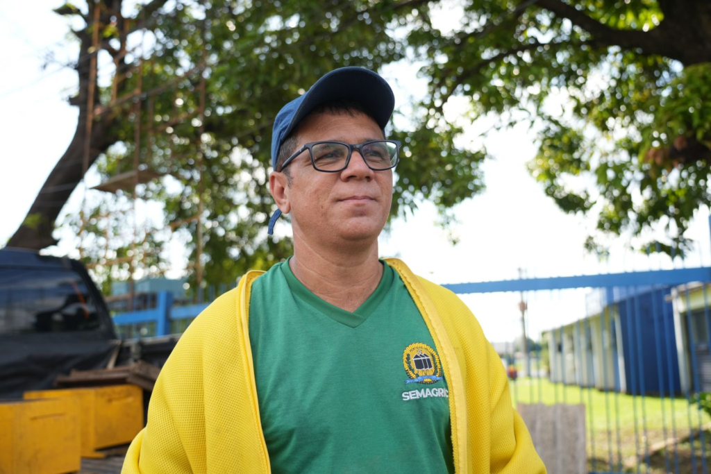 Poda irregular expõe enxame e mobiliza equipes para remoção segura