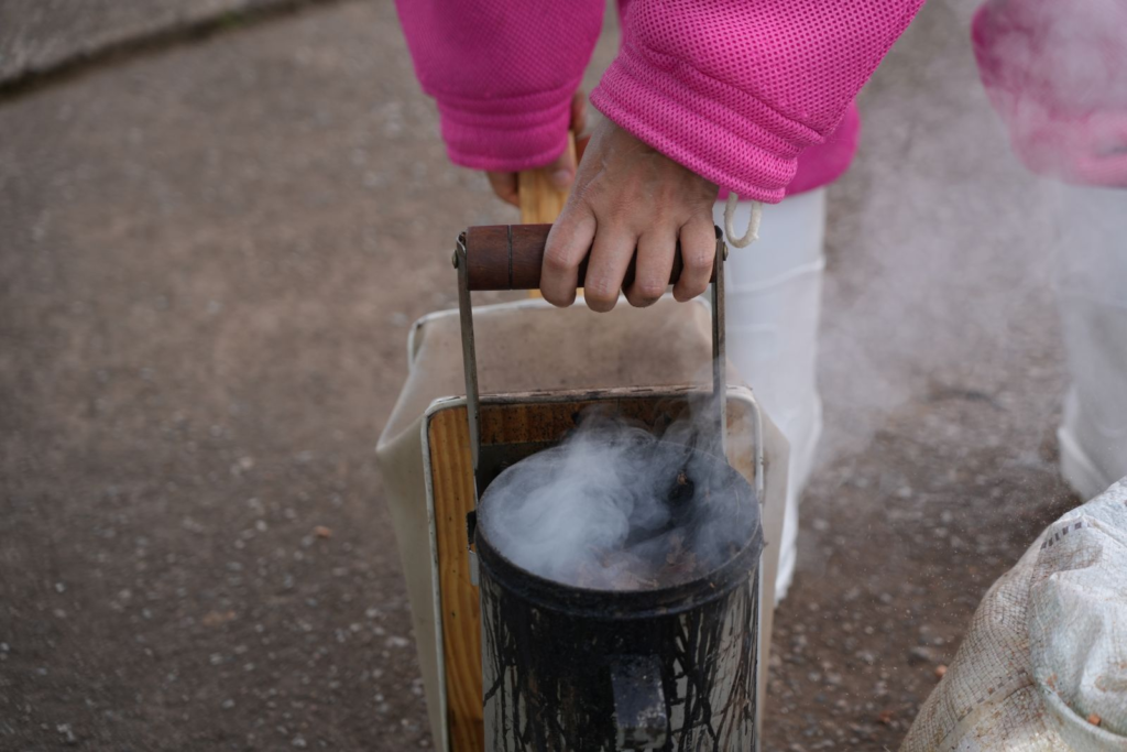 Poda irregular expõe enxame e mobiliza equipes para remoção segura