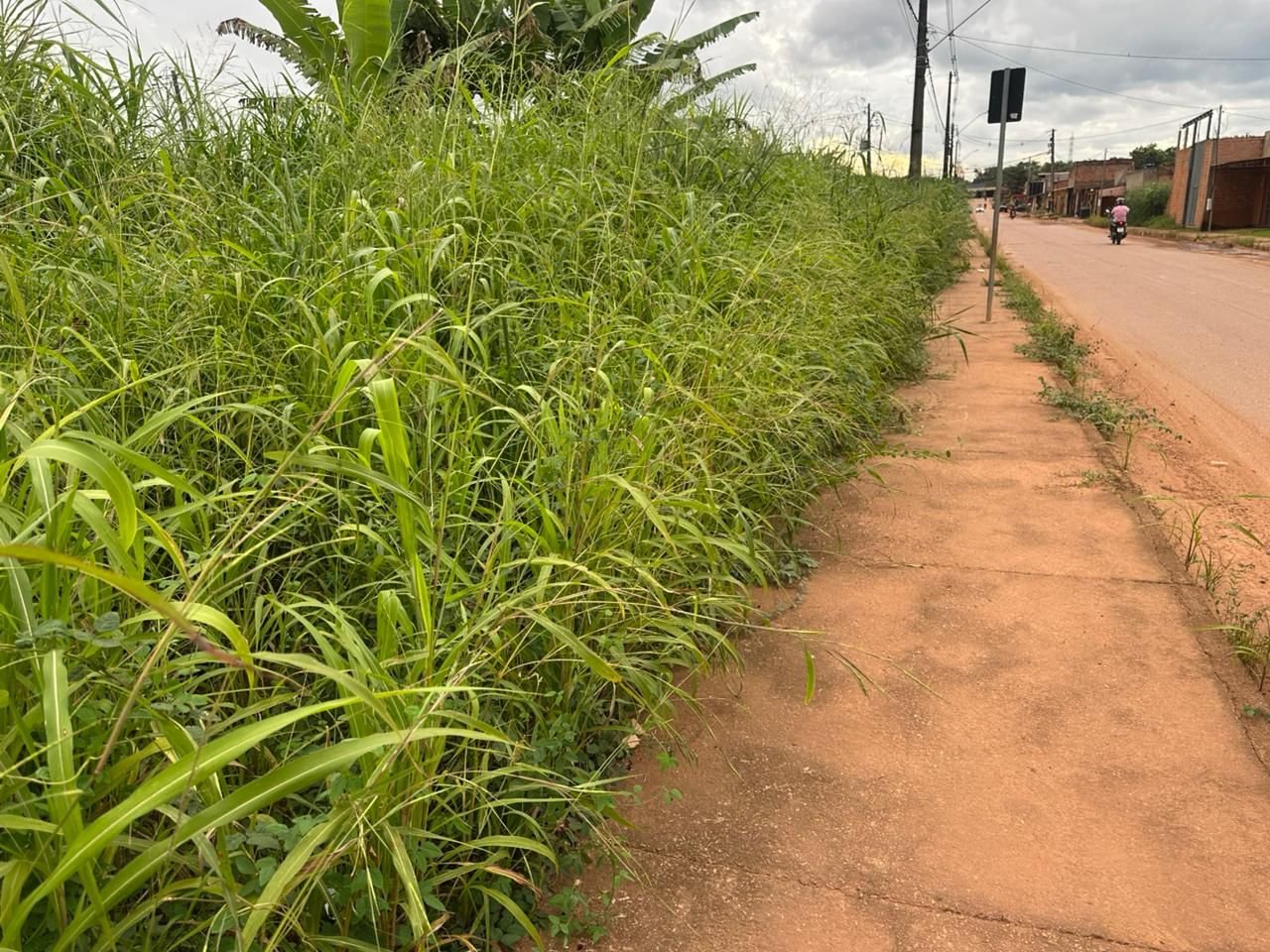 Edimilson Dourado cobra serviços de limpeza e recuperação de via pública na zona leste