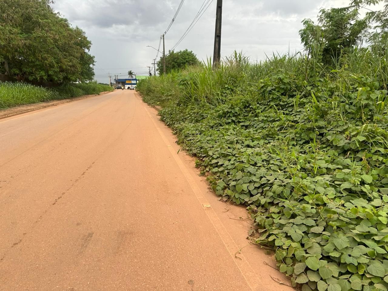 Edimilson Dourado cobra serviços de limpeza e recuperação de via pública na zona leste