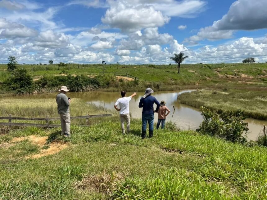 Monitoramento de áreas em recuperação ambiental no estado são intensificadas pelo governo de RO
