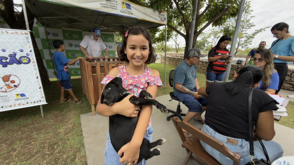 Adoção de cães e gatos é sucesso em feira realizada pela prefeitura