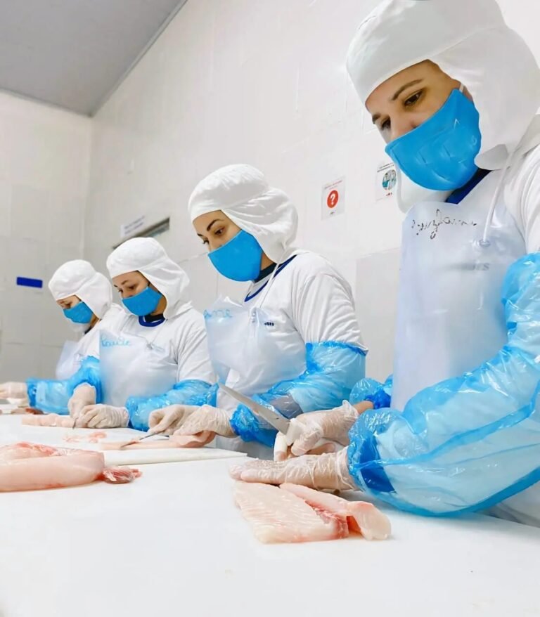 Auxiliar de produção e vendedor lideram oportunidades entre as 2.410 vagas do Sine-RO