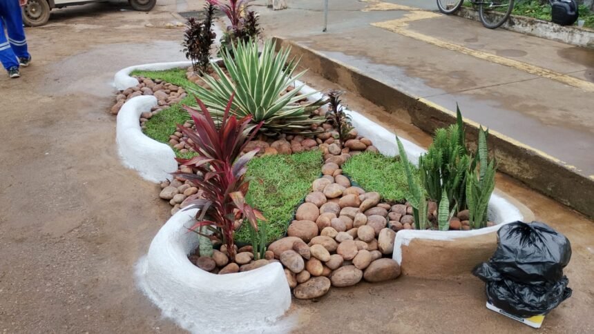 Jardins de chuva ajudam a reduzir impactos das chuvas