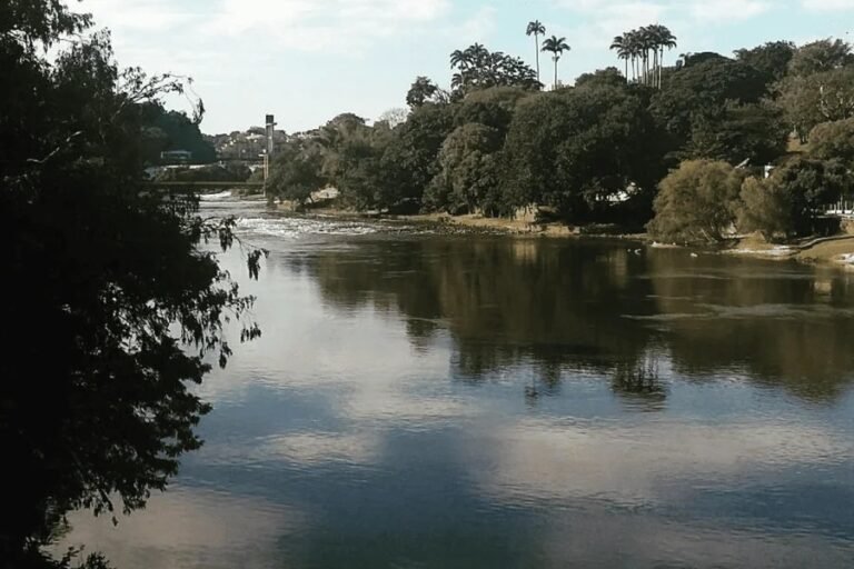 Tio é jogado no rio após assediar sobrinha grávida de 16 anos em festa