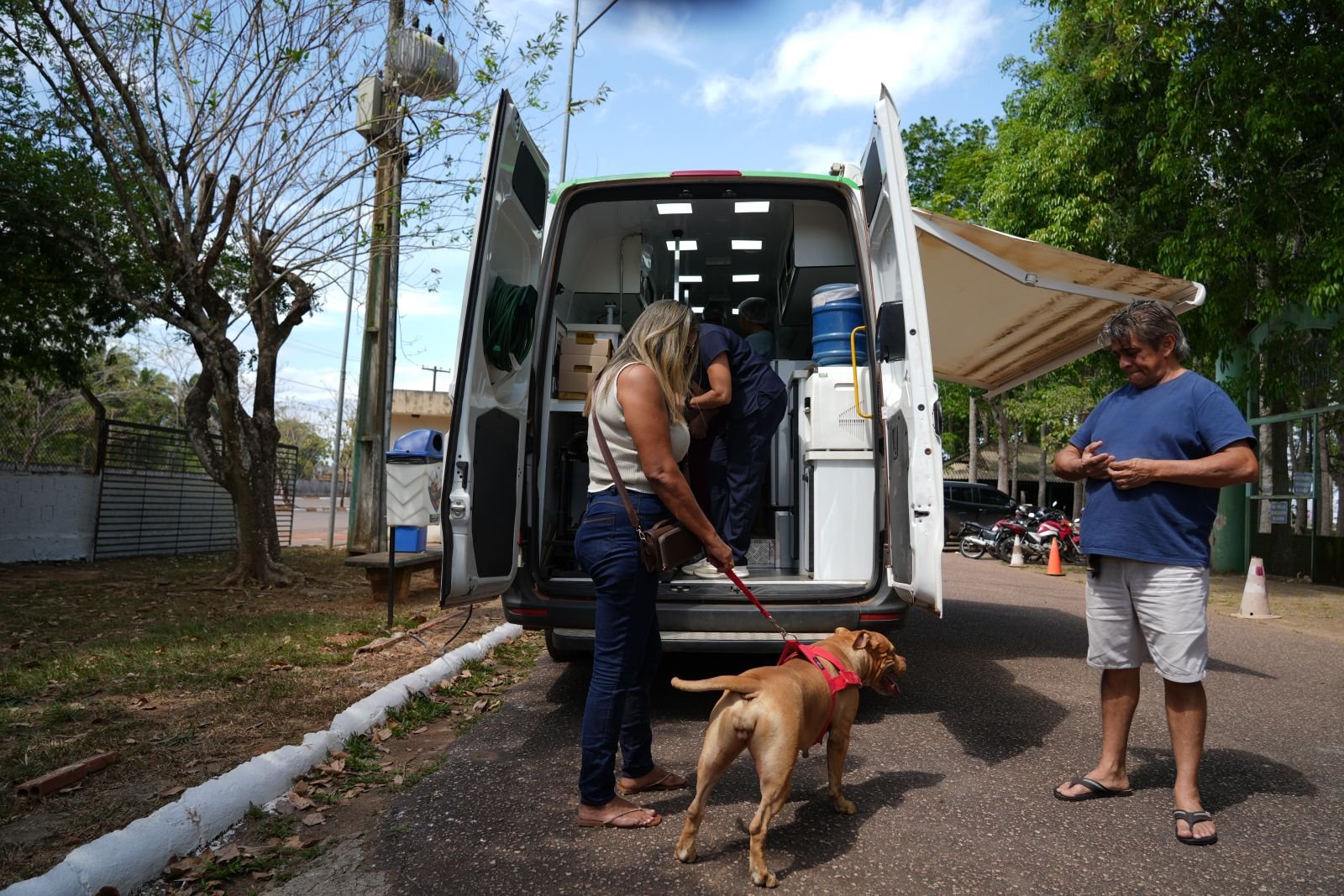 Castração gratuita chega a São Carlos e Nazaré
