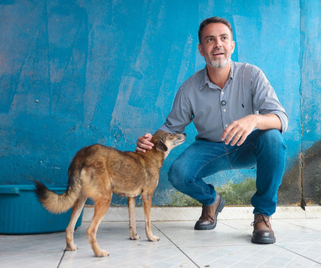 Castração gratuita chega a São Carlos e Nazaré