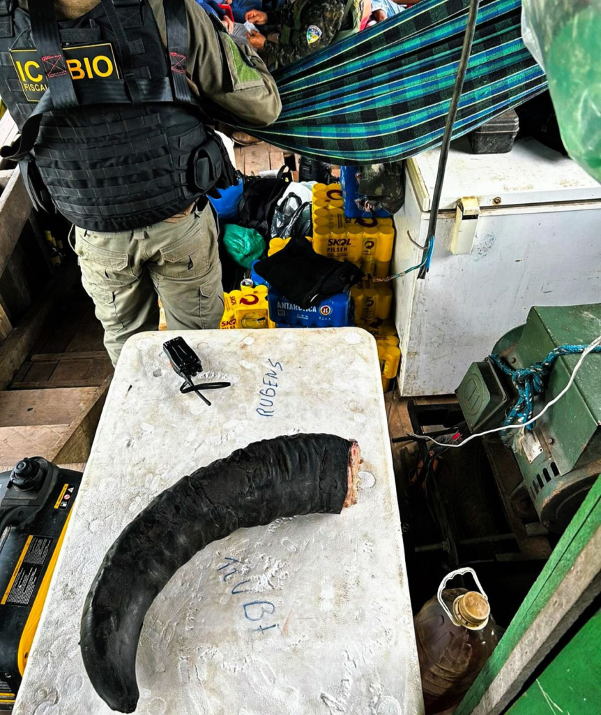 Grupo é flagrado com armas e pesca proibida durante operação em Rondônia