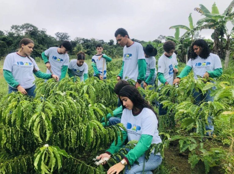 Formação técnica fortalece agricultura familiar e prepara jovens para atuar nas propriedades rurais em Rondônia