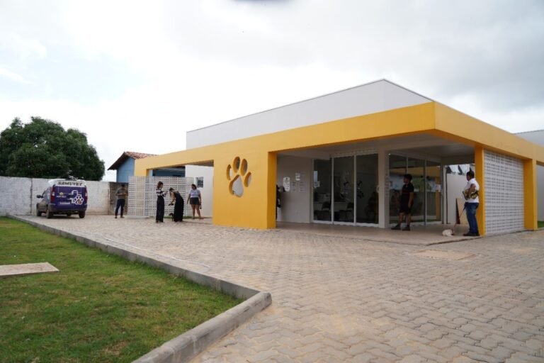 Castração, adoção responsável e cuidados veterinários fortalecem proteção animal em Porto Velho