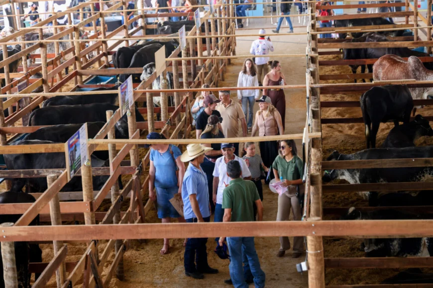 PRIMEIROS DIAS: 13ª Rondônia Rural Show Internacional tem movimentação intensa de público e vendas